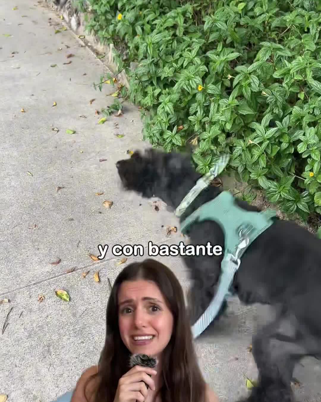 Anuncio UGC Ozono para la piel